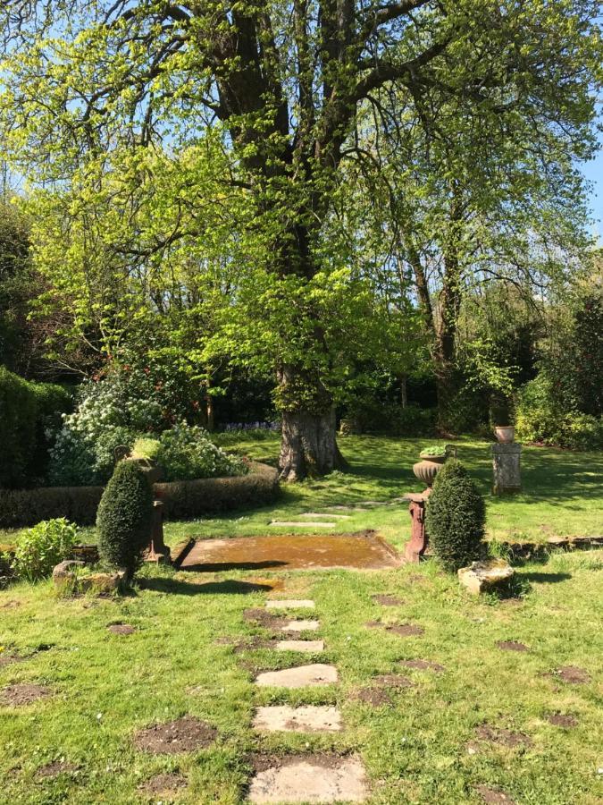 Residence Le Petit Paradis Labastide-Rouairoux Екстериор снимка
